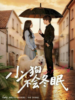 小狗不会冬眠（70集）爱上这部短剧推荐给你们