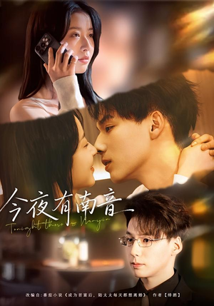 今夜有南音（59集）红果短剧免费看剧