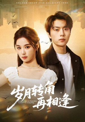 岁月转角再相逢（80集）短剧全集高清完整版