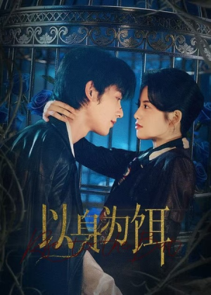 以身为饵（61集）直接追到结尾的短剧大全