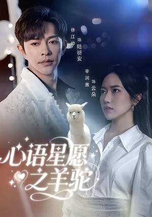 心语星愿之羊驼（60集）好看短剧来袭抢先看