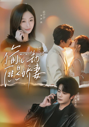 偷心劫匪是娇妻（61集）大结局直达的短剧精选资源