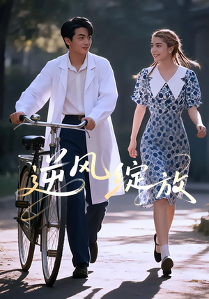 逆风绽放（55集）每天更新短剧一起来追吧