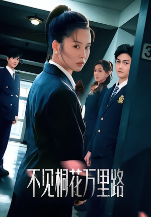 不见桐花万里路（71集）每天分享好看精彩片段