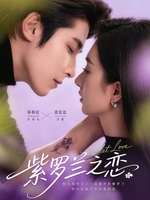 紫罗兰之恋（82集）精彩短剧看全集