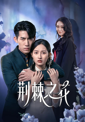 荆棘之花（100集）好看又精彩的短剧来了
