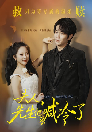 夫人，先生他又喊冷了（60集）爆款短剧热门推荐