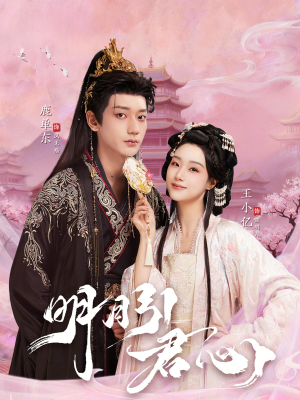 明月引君心（74集）精彩短剧抢先看哦