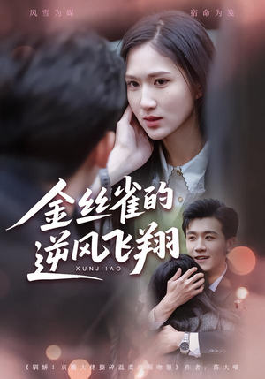 金丝雀的逆风飞翔（80集） 这部免费的短剧太棒了