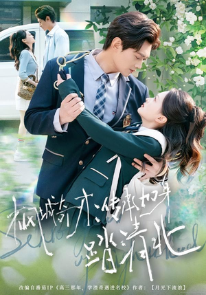 枫城奇才：传承加身踏清北（80集） 大结局一气呵成的短剧精选