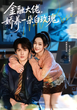 金融大佬，娇养一朵白玫瑰（70集）在线观看全集高清短剧