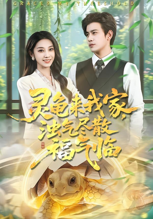 灵龟来我家，浊气尽散福气临（78集）短剧免费看全集恋爱短剧