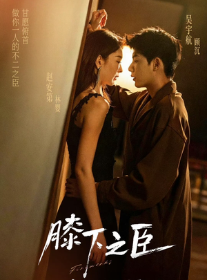 膝下之臣（56集）上头短剧一口气看完系列