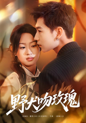 野犬吻玫瑰（70集）短剧在哪个平台