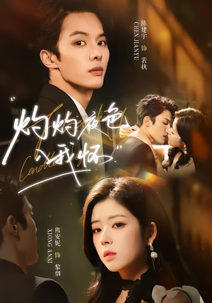 灼灼夜色入我怀（60集）一毛不花追完短剧