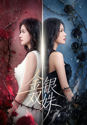 金银双姝（80集）好看短剧不容错过