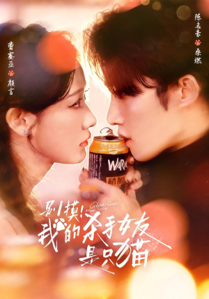 别摸！我的杀手女友是只猫（60集）超好看的短剧抢先看