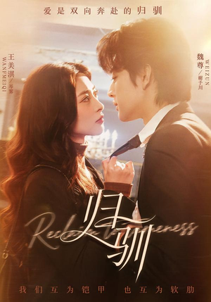 归驯（82集）短剧大结局太精彩了