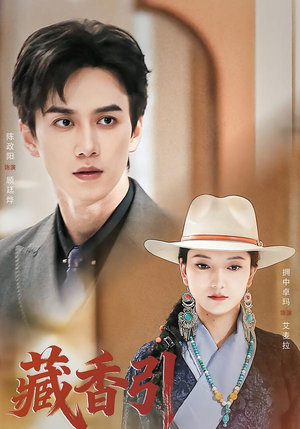 藏香引（63集）正能量短剧上热门