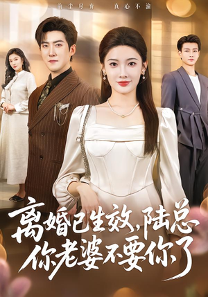 离婚已生效，陆总你老婆不要你了（61集）热门短剧追到爽