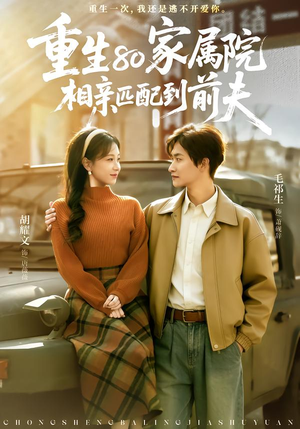 重生80家属院，相亲匹配到前夫（77集）热门短剧排行榜