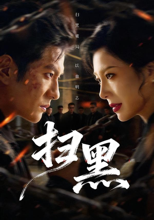 扫黑（70集）在线免费看全集短剧