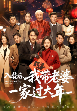 入赘后，我带老婆一家过大年（60集）短剧也太好看了