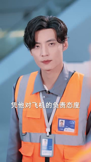 停飞后，我的航班坠毁了（100集）热播短剧免费看