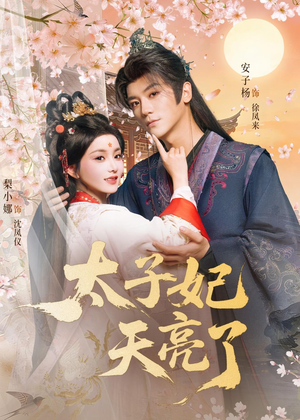 太子妃天亮了（80集）每天分享不一样短剧剧情