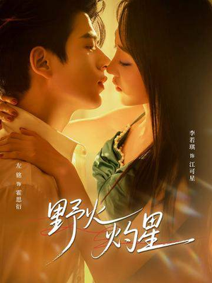 野火灼星（56集）好看的短剧太好看了