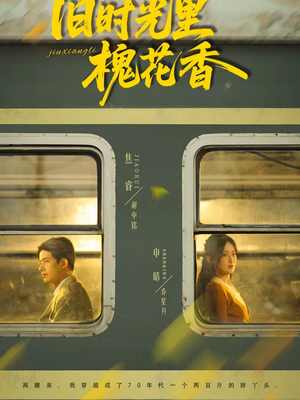 旧时光里槐花香（70集）一键观看免费短剧