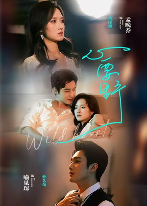 心要野（62集）短剧完整版免费观看