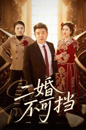 二婚不可挡（36集）短剧来袭好看又上头的剧