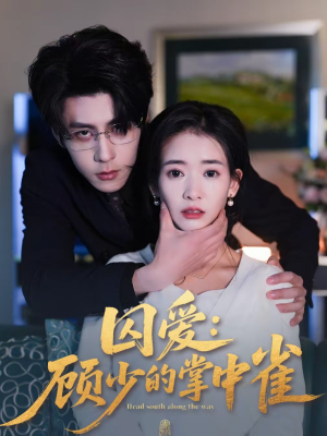 囚爱：顾少的掌中雀（70集）短剧终章免费大放送