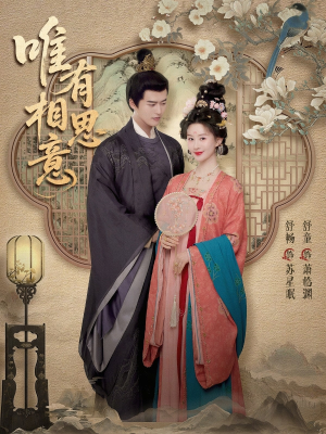 唯有相思意（100集）热播短剧排行榜