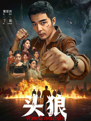 头狼（77集）每天分享好看精彩片段