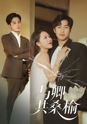 与卿共桑榆（63集）无需掏钱整部剧免费看短剧