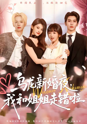 乌龙新婚夜，我和姐姐走错啦（59集）全部免费看短剧的网站汇总