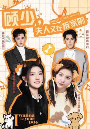 顾少，夫人又在拆家啦（78集）短剧抢先看精彩无限量