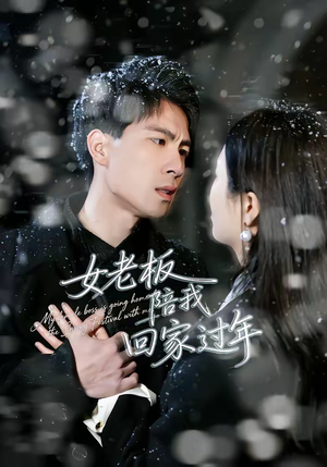 女老板陪我回家过年（40集）好看的短剧又来了抢先看