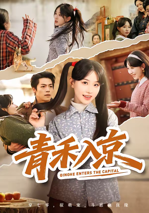 青禾入京（60集）全集都可以免费看的热门短剧
