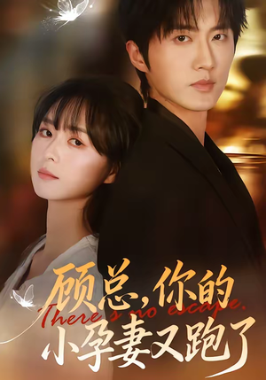 顾总,你的小孕妻又跑了(47集) 顾总,你的小孕妻又跑了(47集)短剧大结局合集放送