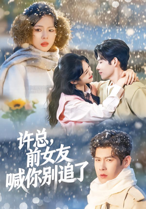 许总，前女友喊你别追了（80集）短剧全集免费在线看