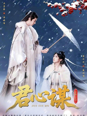 君心谋（80集）火爆短剧来袭好看又上头的短