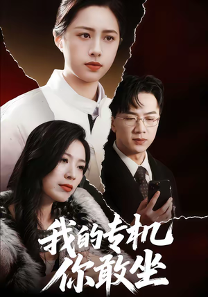 我的专机你敢坐（62集）又一部超火短剧抢先看全集