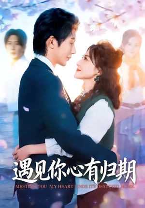 遇见你心有归期（81集）一毛不花看完了整部短剧