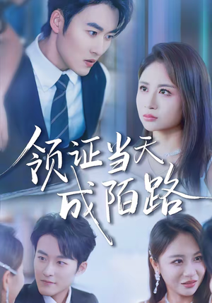 领证当天成陌路（39集）最火爆短剧正在热播