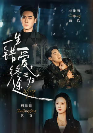 一生错爱，终无归途（74集）短剧高分全集在线刷