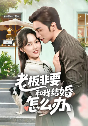 老板非要和我结婚怎么办（50集）精彩短剧天天看