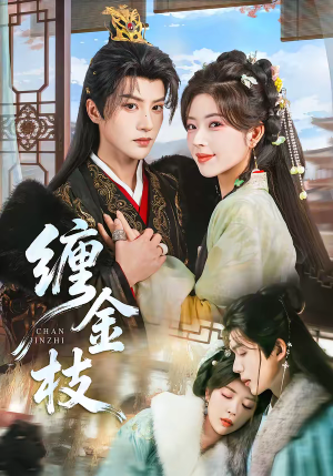 缠金枝（69集）省钱短剧免费看个够